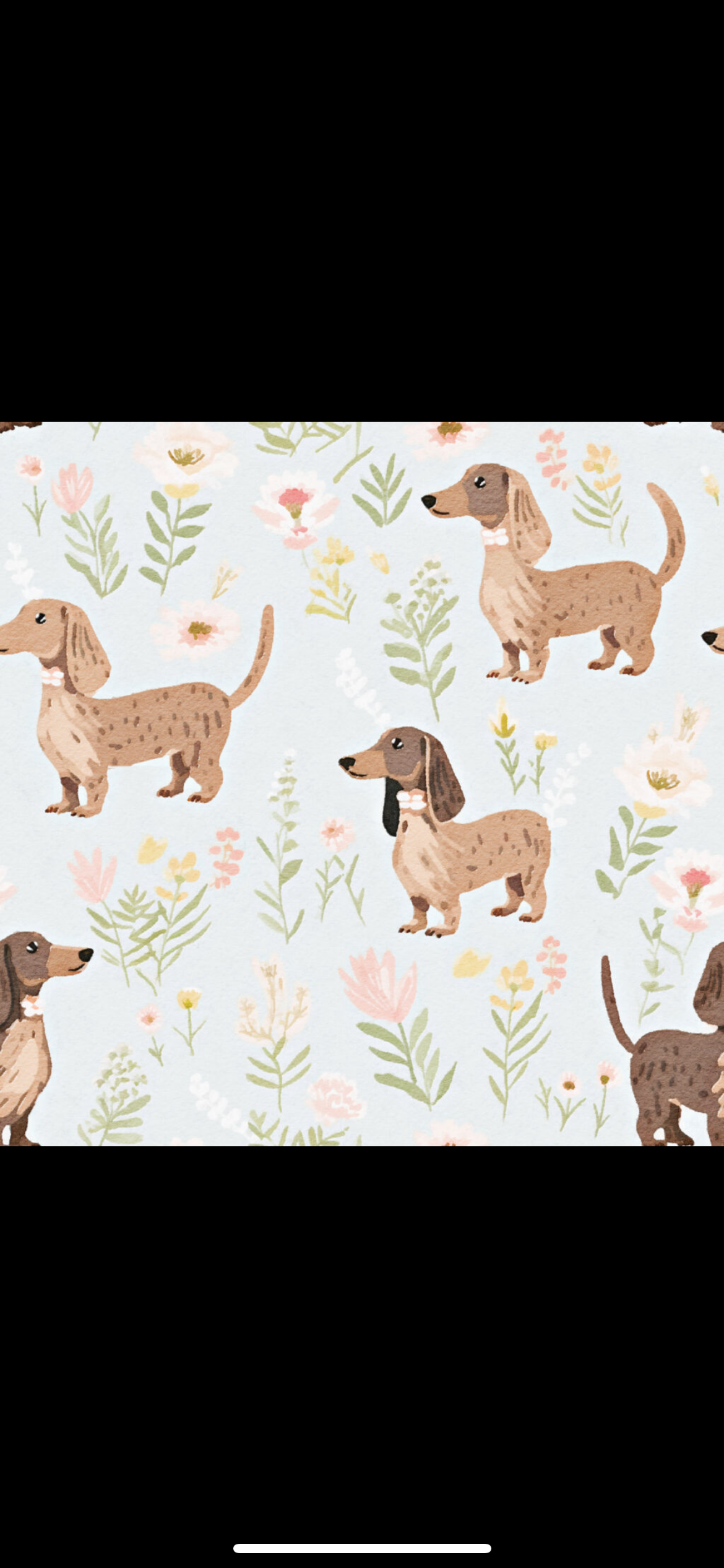 Sausage Dog