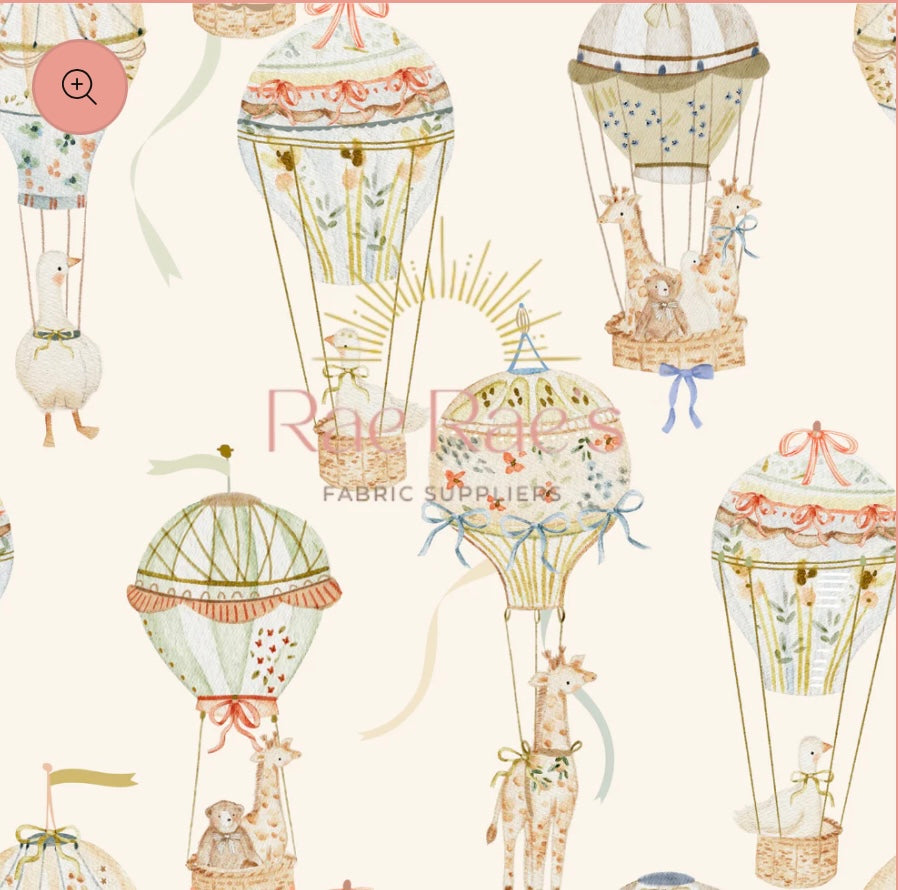 Hot Air Balloons