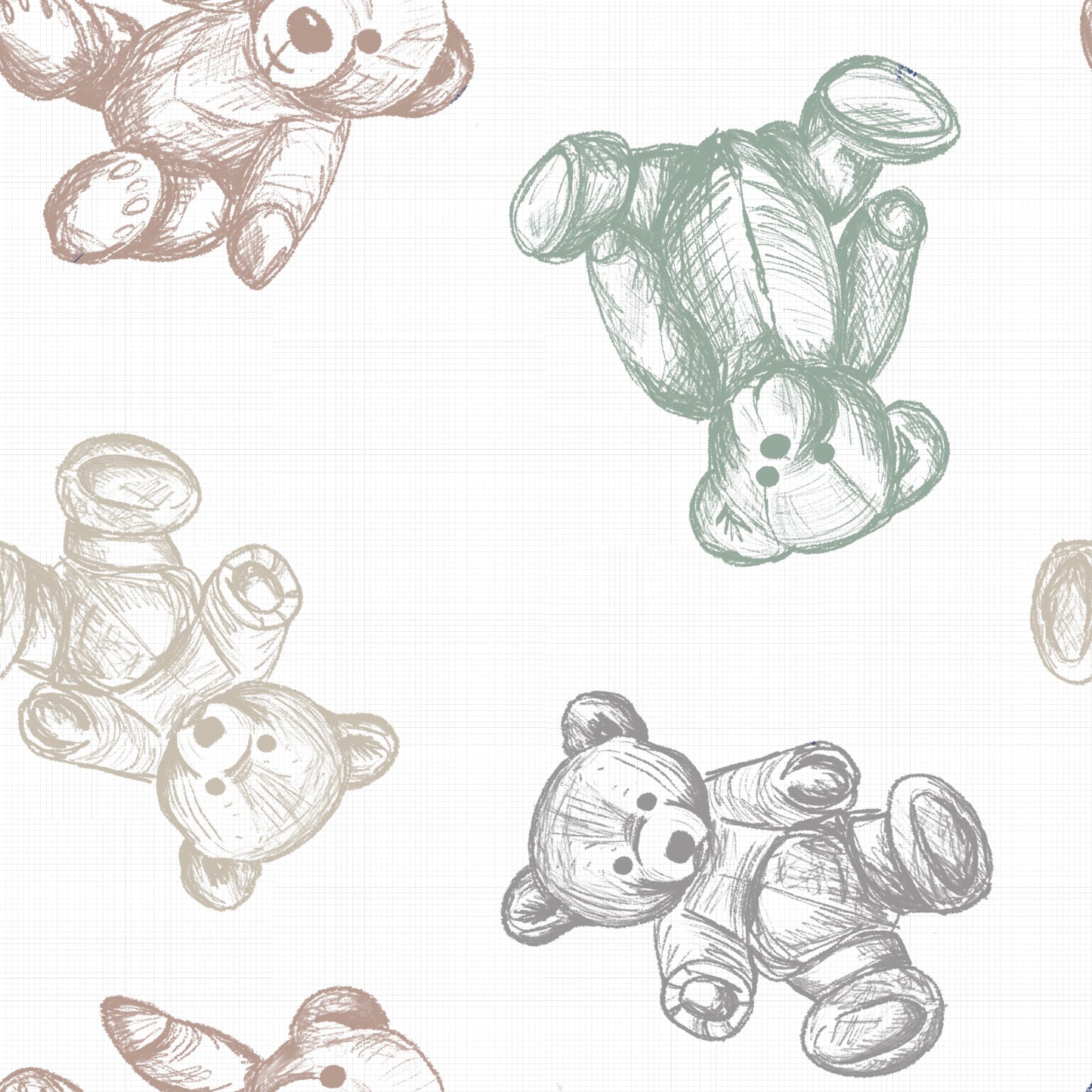 Beary Boy