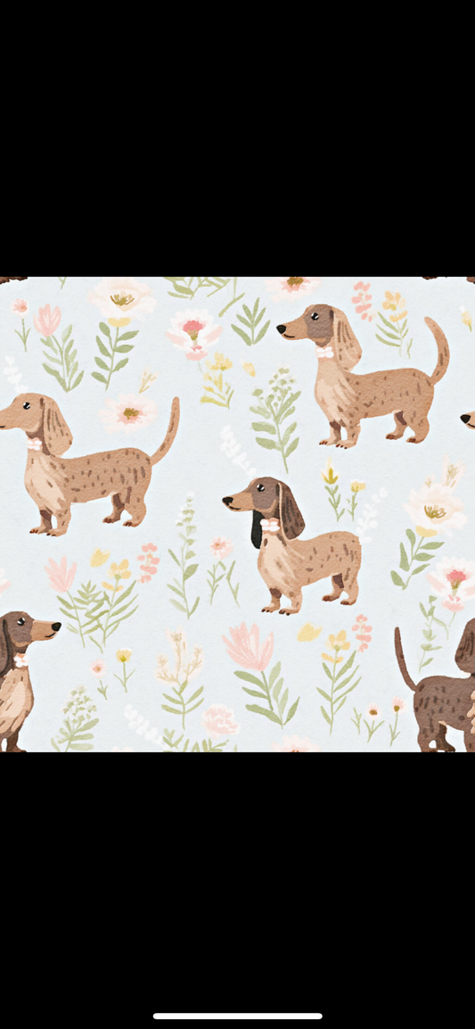 Sausage Dog