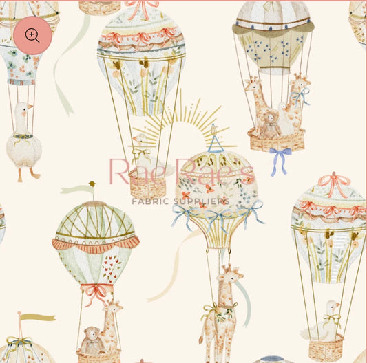 Hot Air Balloons